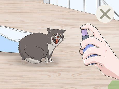 How to Use Catnip Spray: 10 Tips for Happy Cats