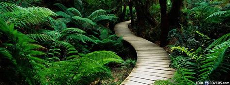 Path To The Wild Facebook Nature Facebook Covers - Cool FB Covers - Use ...