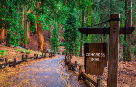 Best of Sequoia and Kings Canyon: 3-Day Itinerary | Moon Travel Guides