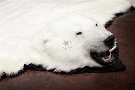 Polar Bear Skin Rugs – FurCanada