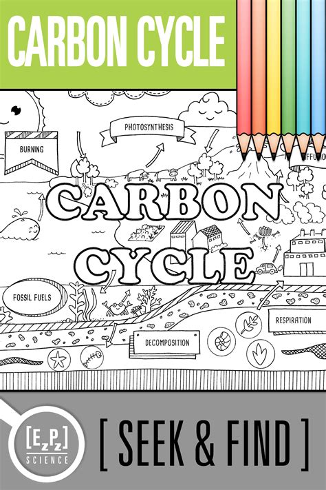 Carbon Cycle Seek and Find Science Doodle Activity- No Prep! Print and ...