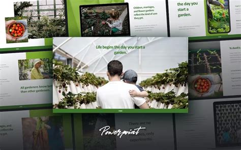 ROYO - Green Business Powerpoint Template for $19