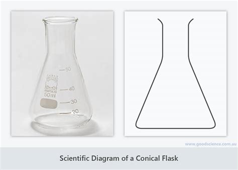 Scientific Diagrams | Good Science