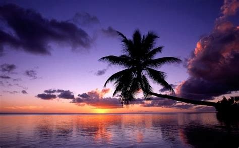 Tahiti Beaches | Beach wallpaper tahiti sunset | Beach sunset wallpaper, Beach scenery, Sunset ...