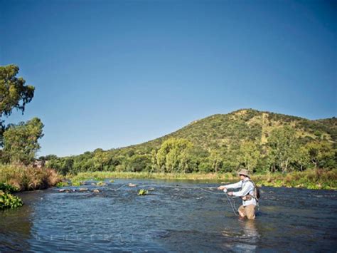 Parys Lodges Accommodation