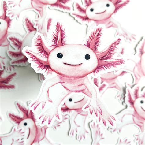 Axolotl Sticker axolotl lover axolotl gift cute sticker | Etsy