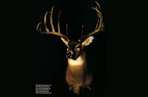 The Milo Hanson Buck: World Record Whitetail | Outdoor Life