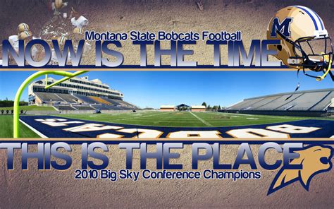 MSU Bobcat Wallpaper - WallpaperSafari