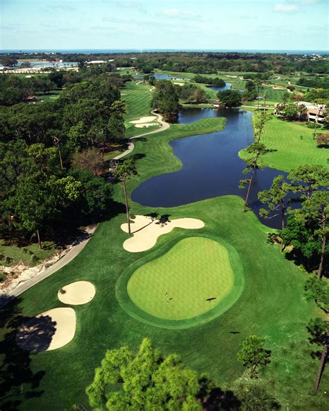 Tampa Golf Courses | Rates, Reviews & Packages | Golf courses, Public golf courses, Golf