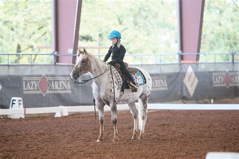 Western Dressage Overview - Young Rider Magazine