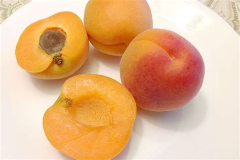 Apricots | Produce Geek