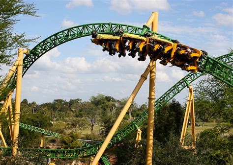 Cheetah Hunt Busch Gardens G Force – Beautiful Flower Arrangements and ...