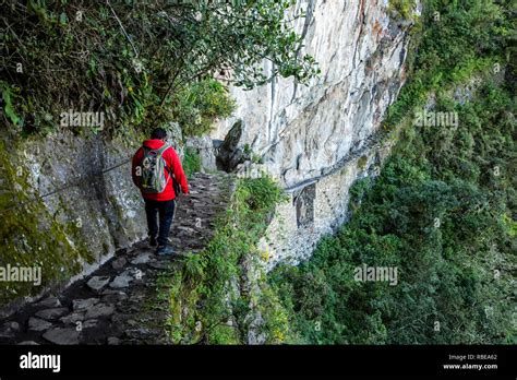 Hiker and trail leading to Inca Bridge, Machu Picchu, Cusco, Peru Stock ...