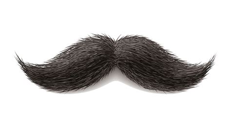 World Beard and Moustache Championships Clip art - Moustache Png Image ...