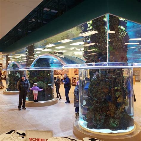 China Shopping Mall Acrylic Aquarium Suppliers, Manufacturers - Factory ...