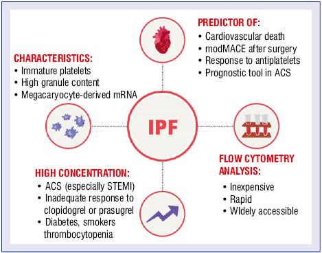 Immature platelet fraction in cardiovascular diagnostics and antiplatelet therapy monitoring ...