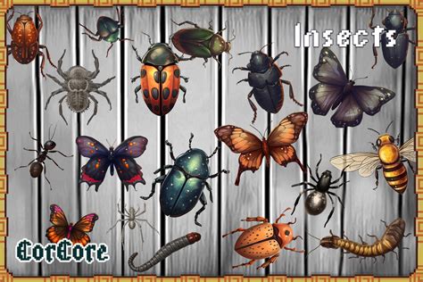 Insects Pack CorCore | 2D | Unity Asset Store