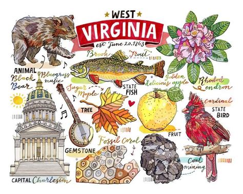 West Virginia Print, State Symbols, Illustration, Map, Charleston, Bluegrass, the Mountain State ...