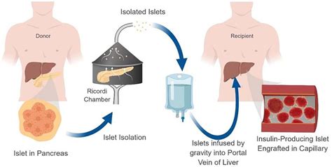 Researchers have developed a standardised method for predicting ...