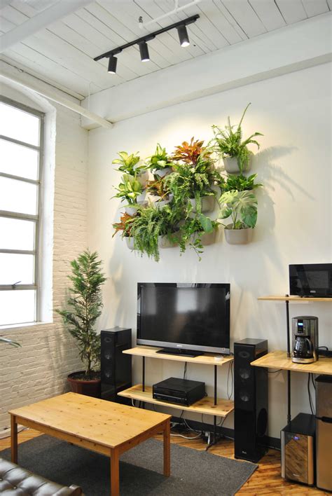 Indoor plant wall, Indoor plant lights, Plant lighting