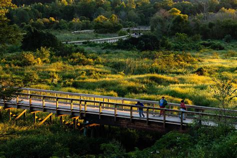 How we can reach a healthier, more productive Chesapeake Bay watershed