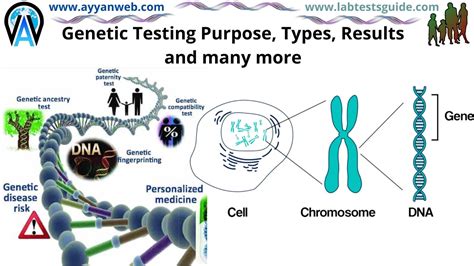 Genetic Testing Purpose, Types, Results and many more | LTG