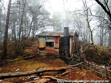 Abandoned forrest house