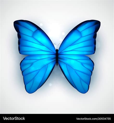 Blue butterfly Royalty Free Vector Image - VectorStock