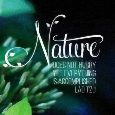 Nature | Lao tzu quotes, Nature quotes, Lao tzu