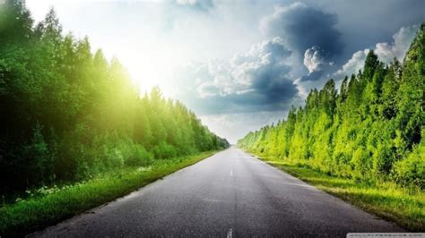 road, Trees HD Wallpapers / Desktop and Mobile Images & Photos