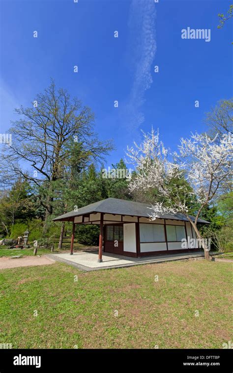 Japanese garden in spring Stock Photo - Alamy