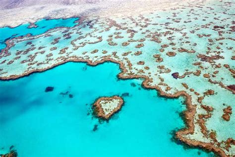 Great Barrier Reef Tours from Cairns & Port Douglas | Fitzroy Island