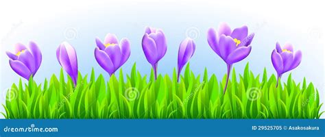 Fresh spring flower border stock vector. Image of land - 29525705