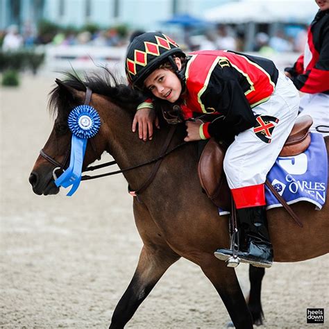 Cool Stories of Devon: Behind-the-Scenes with the Adorable Shetland Pony Race Competitors ...