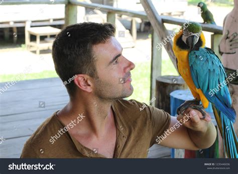 214 Parrot Bonding Images, Stock Photos & Vectors | Shutterstock