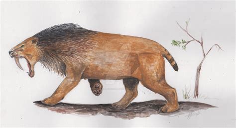 Smilodon by Xiphactinus on DeviantArt