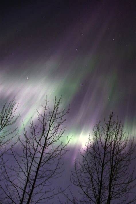 Fairbanks Aurora Borealis Tour - Fairbanks | Project Expedition