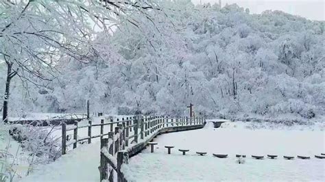 今天可真冷啊~&...绝美！汉江源景区下雪前后的对比，被大自然的魅力惊呆了！ - 宁强县人民政府