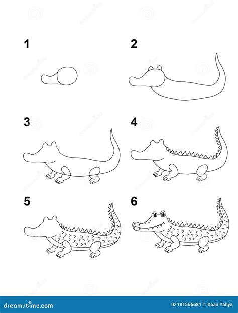 How To Draw Crocodile Step by Step Cartoon Illustration with White Background Stock Illustration ...