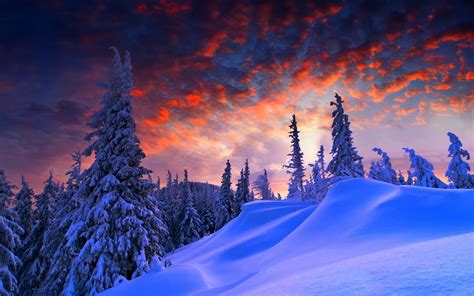 snow, Landscape, Trees Wallpapers HD / Desktop and Mobile Backgrounds
