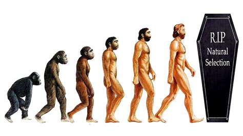 Where is evolution taking the human race? | by Akshay Balakrishnan | PaperKin | Medium