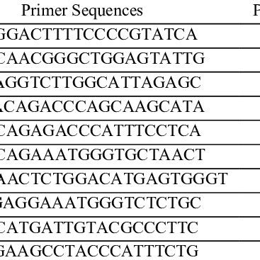 Map of pcDNA3.1 mammalian expression vector | Download Scientific Diagram