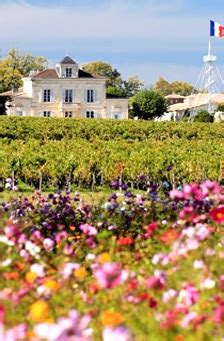 Château Montrose - Bordeaux Tradition - Négoce de Vins