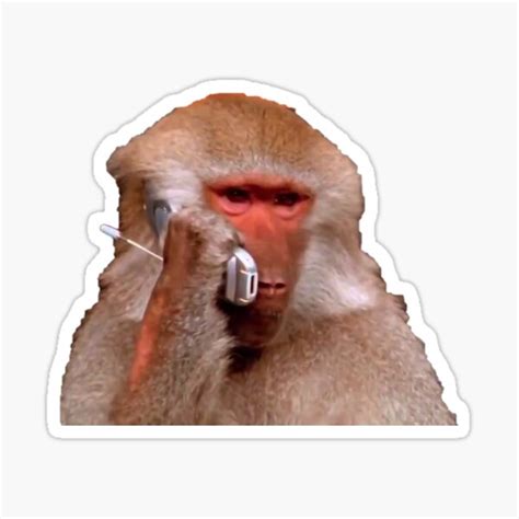 "Monkey on the phone" Sticker for Sale by Skipper295 | Redbubble