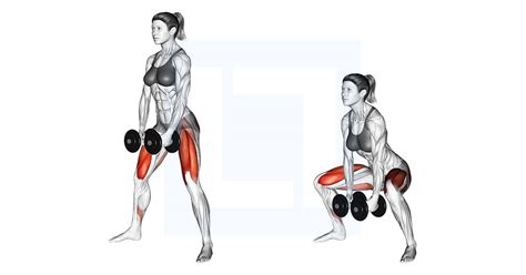 Dumbbells Sumo Squat - Guide, Benefits, and Form