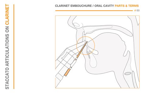 Articulation Types for Clarinet- Kornel Wolak – The Clarinet [Online]