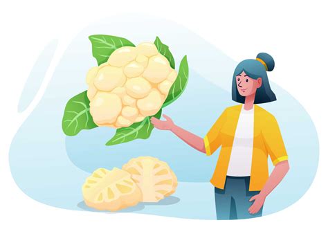 Free Cauliflower Illustration (AI, EPS, PNG)