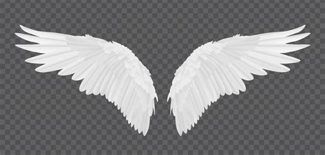 Angel Wings For Photoshop | ubicaciondepersonas.cdmx.gob.mx