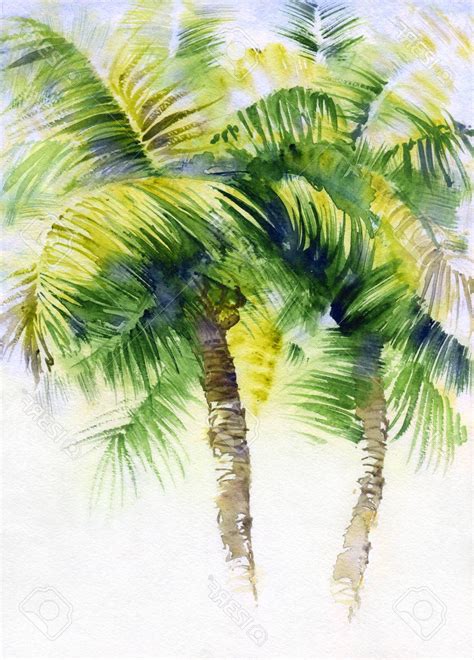 Palm Tree Watercolor Paintings at PaintingValley.com | Explore ...