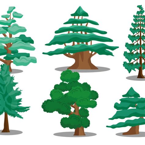 Cedar Tree Vector - ClipArt Best